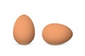 Two vector realistic brown eggs.