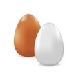 Two vector realistic chicken eggs. White and light brown eggs isolated on  white background. Royalty Free Stock Photo