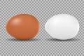 Two vector realistic chicken white and brown eggs. Isolated eggs for easter on transparent background. Royalty Free Stock Photo