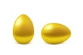 Two vector realistic golden eggs Royalty Free Stock Photo