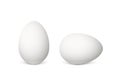 Two vector realistic white eggs Royalty Free Stock Photo