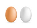 Two vector realistic white eggs. Isolated eggs on white background. Vector stock illustration Royalty Free Stock Photo