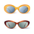 Two vector sunglasses