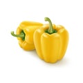 Two Vector Yellow Sweet Bulgarian Bell Peppers, Paprika on White Background Royalty Free Stock Photo