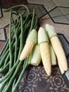 These two vegetables, namely long beans and baby cron, are very delicious when stir-fried