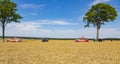 Two Vehicles of Cochonou - Tour de France 2017 Royalty Free Stock Photo