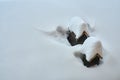 Two ventilation holes in the roof under lot of snow Royalty Free Stock Photo