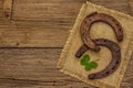 Two very old cast iron metal horse horseshoes, fresh clover leaf. Good luck symbol, St.Patrick`s Day concept Royalty Free Stock Photo
