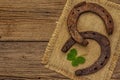 Two very old cast iron metal horse horseshoes, fresh clover leaf. Good luck symbol, St.Patrick`s Day concept Royalty Free Stock Photo