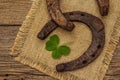 Two very old cast iron metal horse horseshoes, fresh clover leaf. Good luck symbol, St.Patrick`s Day concept Royalty Free Stock Photo