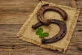 Two very old cast iron metal horse horseshoes, fresh clover leaf. Good luck symbol, St.Patrick`s Day concept Royalty Free Stock Photo