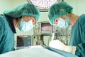 Two veterinarian doctor working in operating room