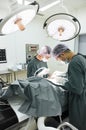 Two veterinarian surgeons in operating room