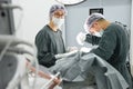 Two veterinarian surgeons in operating room