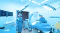 Two of veterinarian surgery in operation room Royalty Free Stock Photo