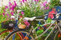 Two vibrant colored bicycles decorated with many beautiful blooming flowers