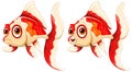 Two goldfish swimming side by side Royalty Free Stock Photo