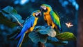 Vibrant Blue-and-Gold Macaws Perched on Lush Tropical Leaves at Dusk Royalty Free Stock Photo