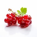 Vibrant Red Currants On White Background