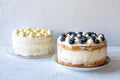 Blueberry and Lemon Curd Mascarpone Cream Cakes Royalty Free Stock Photo