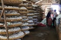 Two Vietnamese women work at a silk factory warehouse. Da Lat, Vietnam