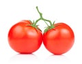 Two Vine fresh juicy tomato Isolated