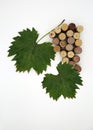 Two vine leaves and corks in shape of a grape. Flat lay. Top view. Royalty Free Stock Photo