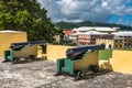 Two vintage cannons on the fort wall facing the town.