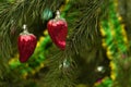 Two vintage Christmas ornaments - pepper paprika fruits Royalty Free Stock Photo