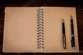 Two vintage fountain pens over a dairy book on wood Royalty Free Stock Photo
