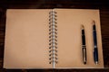 Two vintage fountain pens over a dairy book on wood