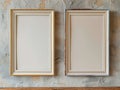 Two vintage frames with a white background on a gray concrete wall Royalty Free Stock Photo