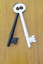 Mortice lock style keys