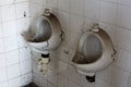 Two vintage retro old disconnected urinals covered with dust and cobweb mounted on white ceramic tiles at abandoned military