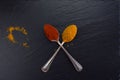 Two vintage spoons with spices curry and paprika on black background. Royalty Free Stock Photo