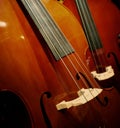 Two violins Royalty Free Stock Photo