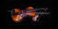 Two violins in black velvet Royalty Free Stock Photo