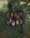 Two violins put on green grass ground floor