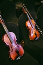 Two violins on some chairs Royalty Free Stock Photo
