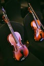 Two violins on some chairs Royalty Free Stock Photo