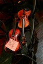 two violins of a symphony orchestra lie on chairs during intermission Royalty Free Stock Photo