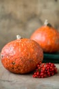 Two vivid orange pumpkin on wooden background with rowan berries and books