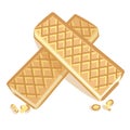 Two wafers vector