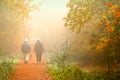 Two walkers in a park Royalty Free Stock Photo