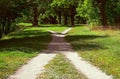 Two walking paths among the grass intersect in the park on a bright sunny summer day