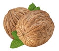 Walnut isolated closeup on white background with clipping path. Nut macro. Walnuts with leaf as package design element collection