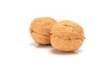 Two walnuts, close up macro, isolated on a white background. Royalty Free Stock Photo