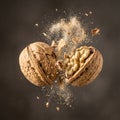 Two walnuts colliding and cracking open mid-air, releasing a cloud of nut dust and shell fragments Royalty Free Stock Photo