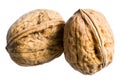 Two walnuts Royalty Free Stock Photo