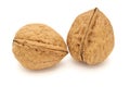 Two walnuts isolated Royalty Free Stock Photo